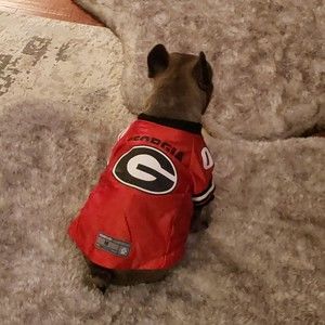 Meet your Posher, Velvet